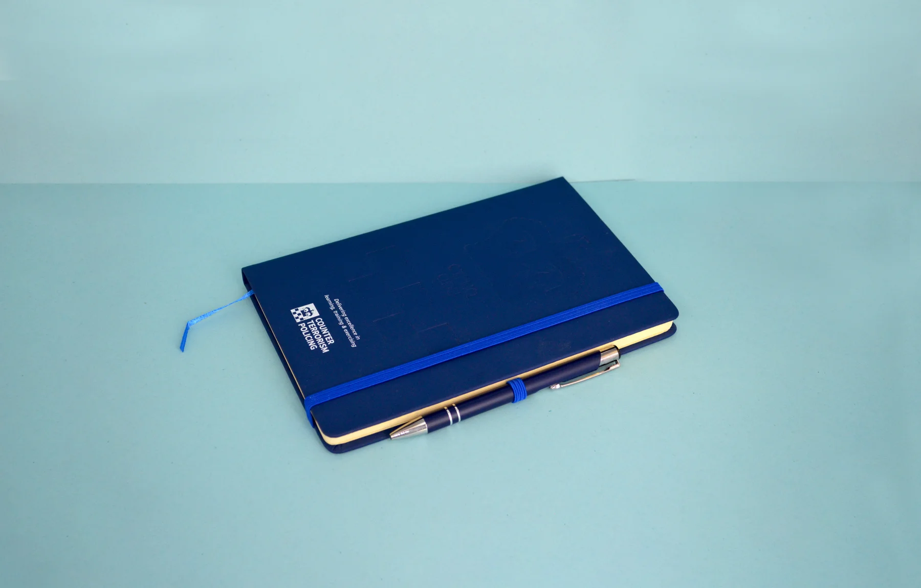 Image 4